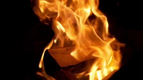 Fire burning on black background. slow motion — Stock Video