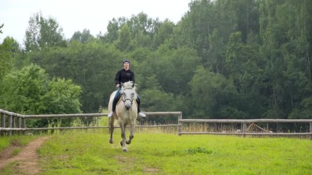 Renner rijdt een paard in slow motion — Stockvideo