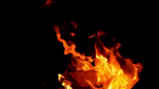 Oheň: hořící dřevo a doutnající uhlíky — Stock video