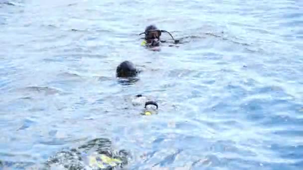 Dykare gå under vattnet — Stockvideo
