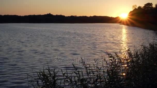 Magnifique coucher de soleil sur le lac — Video