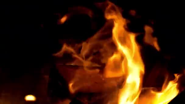 Fire: burning wood and smoldering embers — Stock Video