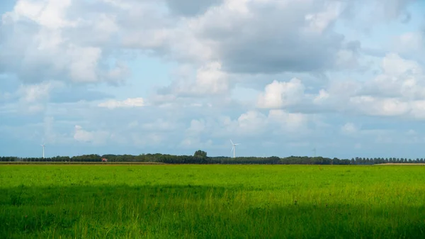 yeşil tarla ve mavi gökyüzü