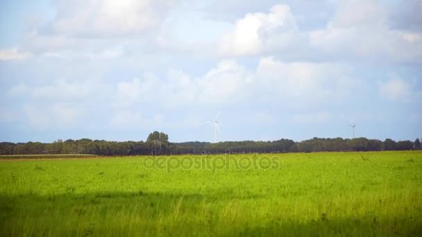 Zelené pole a modrá obloha — Stock video