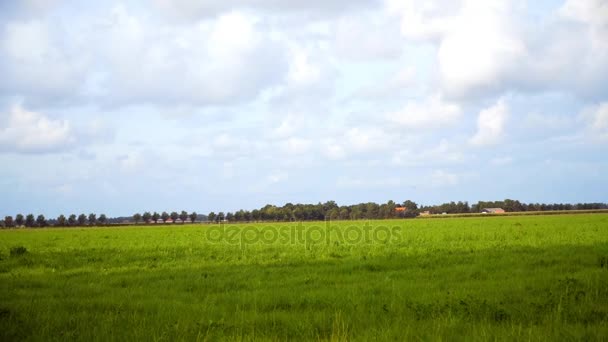 champ vert et ciel bleu