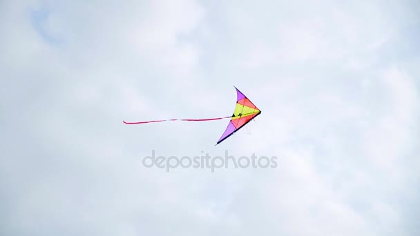 Kite soars in the sky — Stock Video