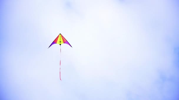 Kite soars in de hemel — Stockvideo