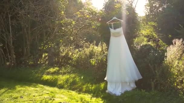 Robe de mariée suspendue à l'arbre — Video