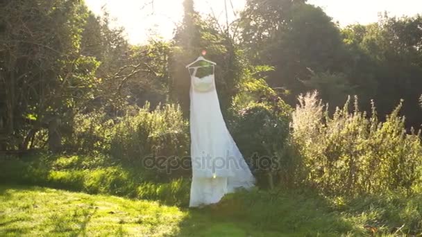 나무에 걸려 있는 웨딩 드레스 — 비디오