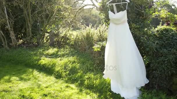 Весільна сукня висить на дереві — стокове відео