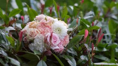 güzel düğün buket yeşillik bir arka plan üzerinde