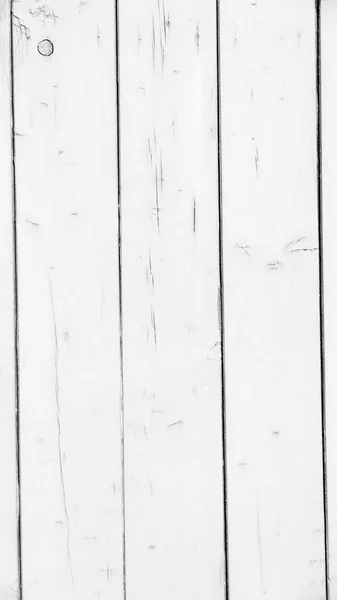 The background of white painted wooden boards — Stock Photo, Image