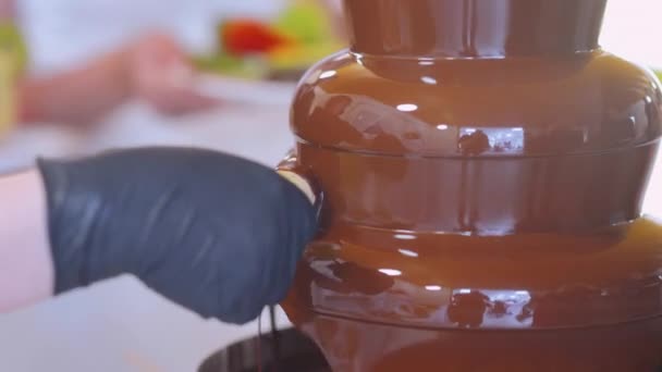 Fontein van de chocolade en fruit aan het spit — Stockvideo