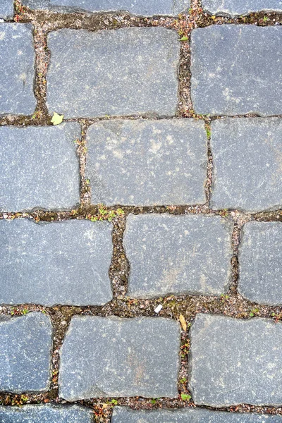 Old aged granite paving stones — Stock Photo, Image