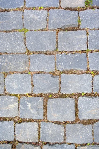 Old aged granite paving stones