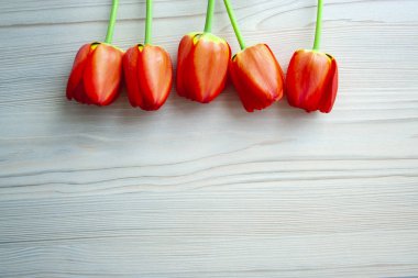 Güzel kırmızı laleler ahşap arka planda üst görünüm ve kopyalanmış alan. Kutlama, anneler günü için kartpostal şablonu, kadınlar günü, sevgililer günü, tonlama