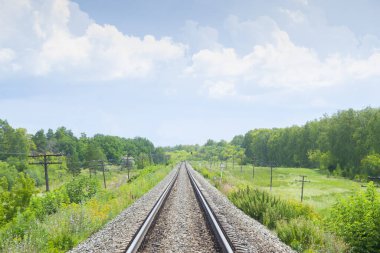 Yaz yeşil alanları ile bir demiryolu. Güzel yeşil demiryolu ağacı manzara gökyüzü. Güzel manzara. Demiryolu taşımacılığı. 