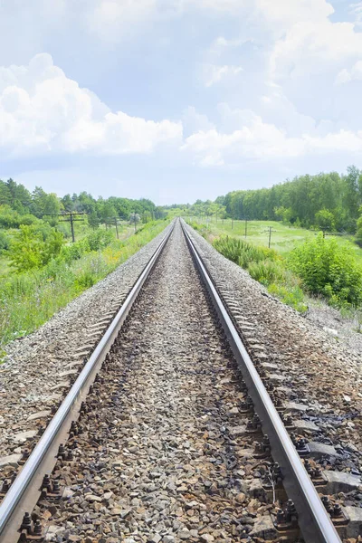 Ferrocarril Través Los Campos Verdes Verano Hermoso Cielo Verde Árbol —  Fotos de Stock