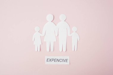 Kağıt aile, parlak pembe bir geçmişe, aile evine, koruyucu aileye, aile ruhsal sağlığına, bütçeye ve para konseptine sahip değil. Sözcük dağarcığı masraflı kağıt ailesi 
