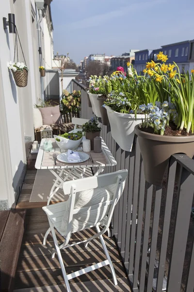 Frühlingsblumen auf einem sonnigen Balkon lizenzfreie Stockfotos