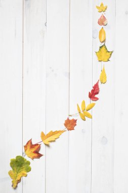 kopya alanı ile akış renkli sonbahar yaprakları