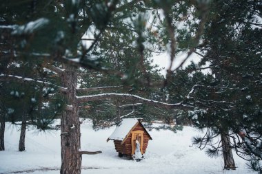 Kız ormanın yakınındaki kulübenin içinde