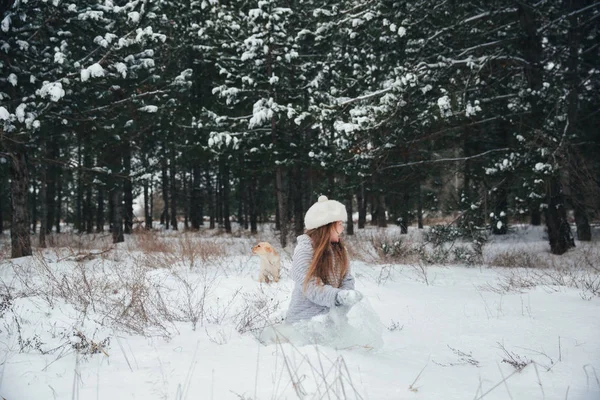 Girl playing with snow in the woods with the dog Labrador — Stock Photo, Image