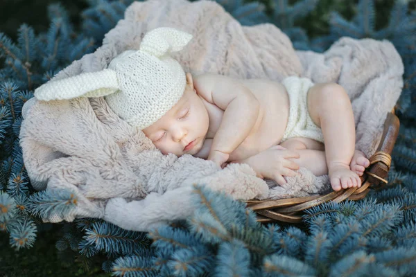 Bebek sepeti, paskalya tavşanına da uyuyor