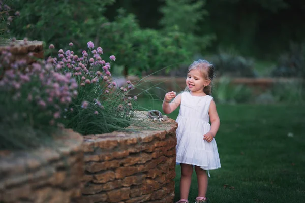 Girl holding a nest with eggs — Stock Photo, Image