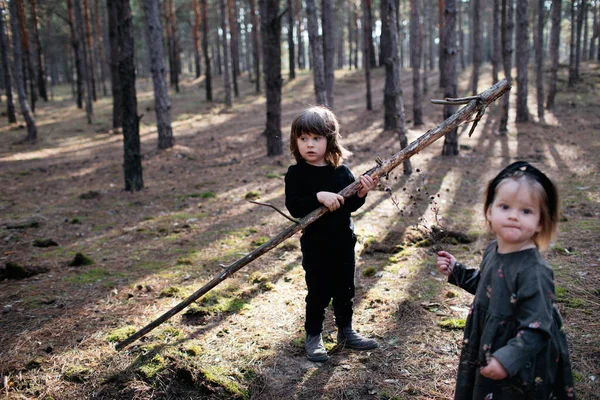สองคนเดินในป่าเด็ก น้องชายและน้องสาวในป่าฤดูใบไม้ร่วง ยิงกลางแจ้งแบบแนวนอน — ภาพถ่ายสต็อก