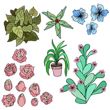 Kroki doodle pembe gül buketleri