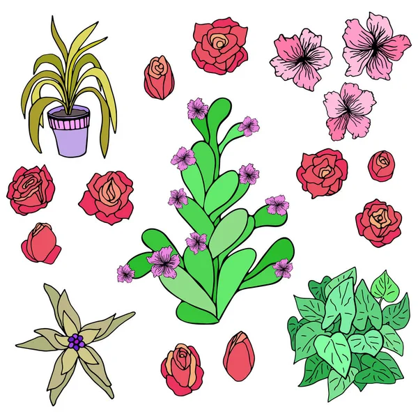 素描涂鸦粉红玫瑰花束 — 图库矢量图片