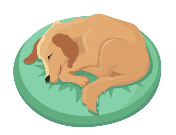 Собака спит на подушках с номерами 2018 — стоковый вектор