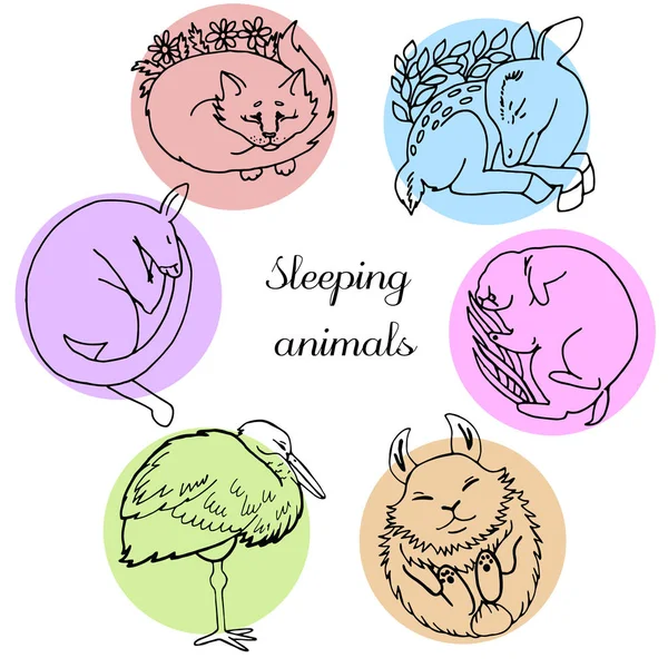 Animali dormienti. Illustrazione vettoriale su sfondo bianco — Vettoriale Stock