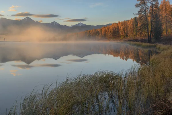 Göl sonbahar orman ve sis kaplı