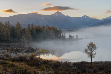 Gündoğumu gölde puslu kırsal