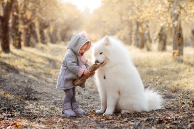 Güzel ceketli küçük kız neşe saçar ve beyaz bir köpekle yemeğini paylaşır.