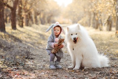 Güzel ceketli küçük kız neşe saçar ve beyaz bir köpekle yemeğini paylaşır.