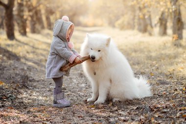 Güzel ceketli küçük kız neşe saçar ve beyaz bir köpekle yemeğini paylaşır.