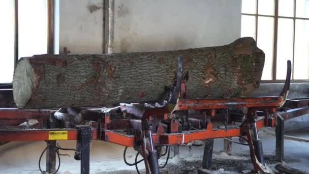 旧的锯木厂，切木材理事会. — 图库视频影像