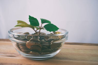 Altın sikkeler, altın arka plan, iş geçmişi