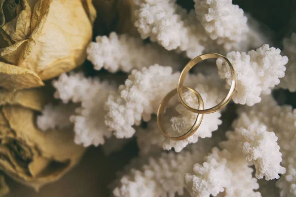 Verlobungsringe, Hochzeitsaccessoires, Ringe auf Holzrücken — Stockfoto