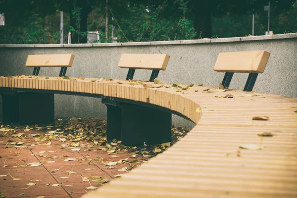 Скамейки из дерева, скамейки в полукруге, листья на — стоковое фото
