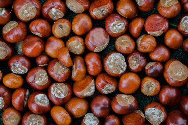 Kestane, kavrulmuş kestane, kahverengi zemin, kestane sekmesinde