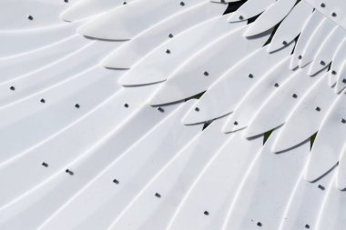 beyaz plastik kanatları, beyaz arka plan, siyah arka plan