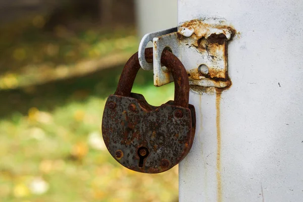 Padlock hanging on a white wall and a yellow background — Stock Photo, Image