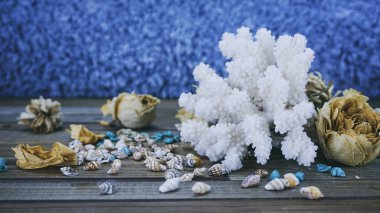 Mercan bir ahşap zemin üzerine ahşap bir adam üzerinde küçük kabuklar