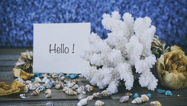 Coral on a wooden background, small shells on a wooden backgroun