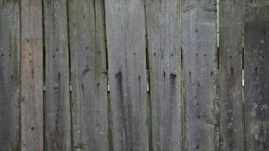 ağaç yapısı, ahşap çit, ahşap arka plan