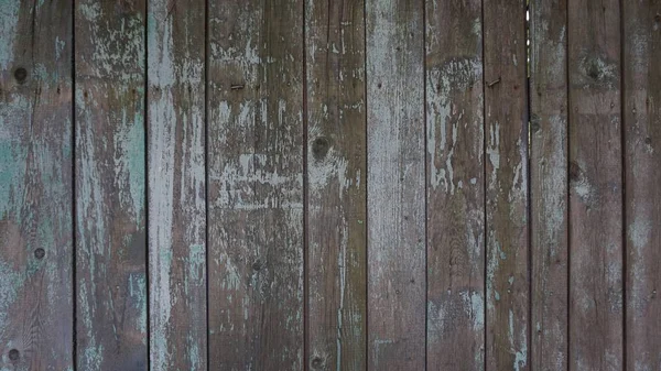 Struttura ad albero, recinzione in legno, sfondo in legno — Foto Stock
